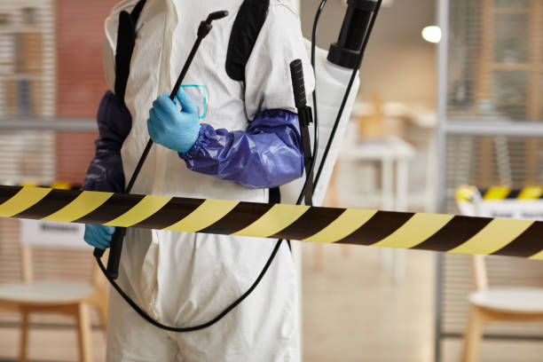 Professional Trauma Scene Cleanup technician working in Springfield, NE