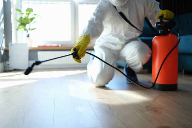 Trusted Sewage Cleanup service in Springfield, NE - Four Month Blood Cleanse